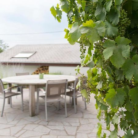 Les Petits Secrets De Nonna-Chambre D Hote Dinant Flavion Екстериор снимка